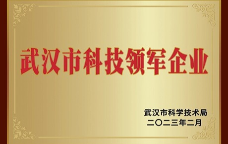 依瑞德集团以脑科学领域唯一企业身份入选首批“武汉市科技领军企业”名单